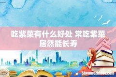 吃紫菜有什么好处 常吃紫菜居然能长寿