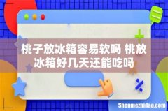 桃子放冰箱容易软吗 桃放冰箱好几天还能吃吗