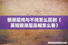 英短银渐层品相怎么看 银渐层纯与不纯怎么区别