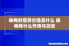 杨梅的营养价值是什么 杨梅有什么作用与功效