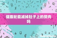 健腹轮能减掉肚子上的赘肉吗