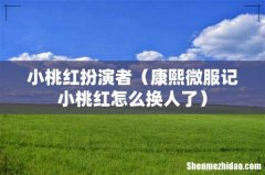 康熙微服记小桃红怎么换人了 小桃红扮演者