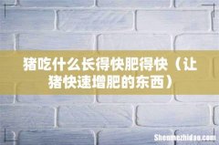 让猪快速增肥的东西 猪吃什么长得快肥得快