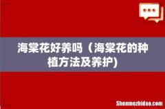 海棠花好养吗（海棠花的种植方法及养护)