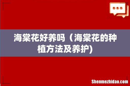 海棠花好养吗(海棠花的种植方法及养护)