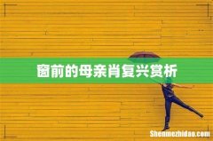 窗前的母亲肖复兴赏析