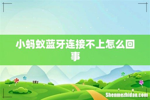 小蚂蚁蓝牙连接不上怎么回事
