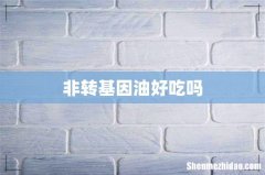 非转基因油好吃吗