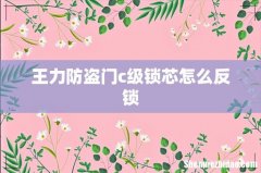 王力防盗门c级锁芯怎么反锁