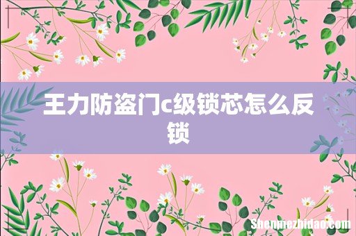 王力防盗门c级锁芯怎么反锁