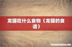 龙猫的食谱 龙猫吃什么食物