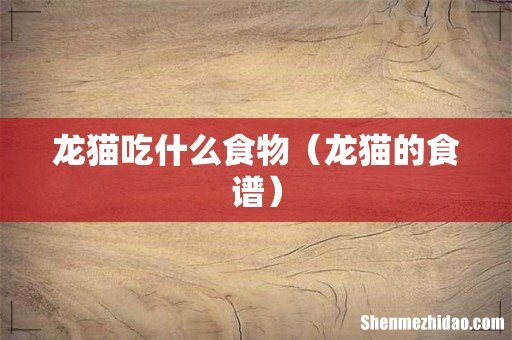 龙猫的食谱 龙猫吃什么食物