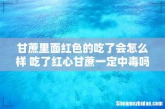 甘蔗里面红色的吃了会怎么样 吃了红心甘蔗一定中毒吗