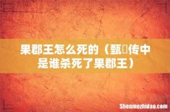 甄嬛传中是谁杀死了果郡王 果郡王怎么死的