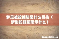 梦到蛇缠脚预示什么 梦见被蛇缠脚是什么预兆