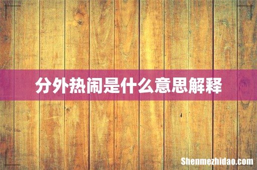 分外热闹是什么意思解释
