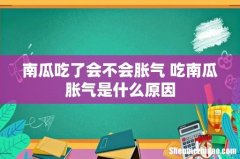 南瓜吃了会不会胀气 吃南瓜胀气是什么原因