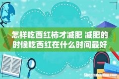 怎样吃西红柿才减肥 减肥的时候吃西红在什么时间最好