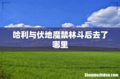 哈利与伏地魔禁林斗后去了哪里