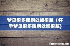 梦见很多屎到处都很脏（怀孕梦见很多屎到处都很脏)