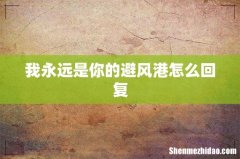 我永远是你的避风港怎么回复