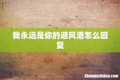 我永远是你的避风港怎么回复