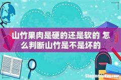 山竹果肉是硬的还是软的 怎么判断山竹是不是坏的