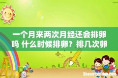 一个月来两次月经还会排卵吗 什么时候排卵？排几次卵？