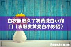 衣服发黄变白小妙招 白衣服放久了发黄洗白小窍门