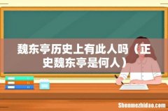 正史魏东亭是何人 魏东亭历史上有此人吗