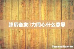 踔厉奋发勠力同心什么意思