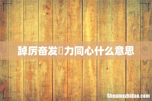 踔厉奋发勠力同心什么意思