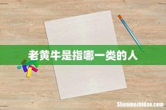 老黄牛是指哪一类的人