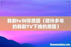 陪伴多年的韩剧TV下线的原因 韩剧tv叫停原因