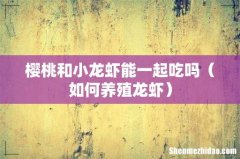 如何养殖龙虾 樱桃和小龙虾能一起吃吗