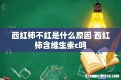 西红柿不红是什么原因 西红柿含维生素c吗