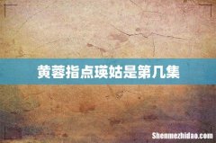 黄蓉指点瑛姑是第几集