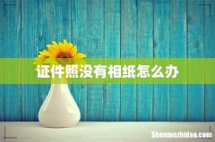 证件照没有相纸怎么办
