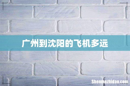 广州到沈阳的飞机多远