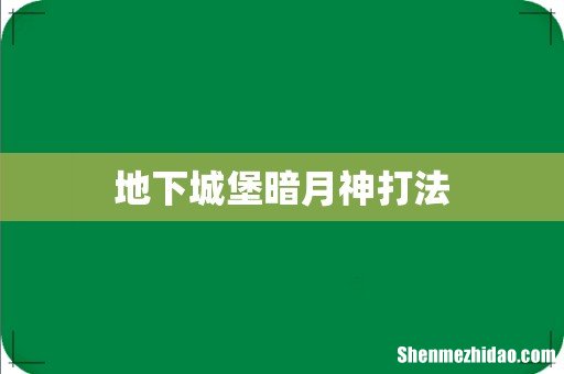 地下城堡暗月神打法