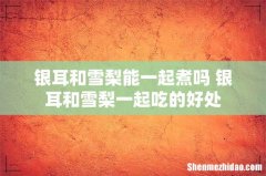 银耳和雪梨能一起煮吗 银耳和雪梨一起吃的好处