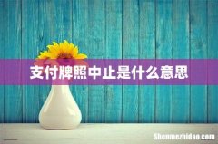 支付牌照中止是什么意思