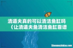 让清道夫鱼清洁鱼缸靠谱吗 清道夫真的可以清洁鱼缸吗