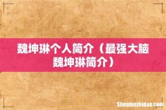 最强大脑魏坤琳简介 魏坤琳个人简介