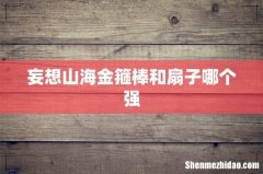 妄想山海金箍棒和扇子哪个强