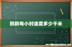 鸸鹋每小时速度多少千米