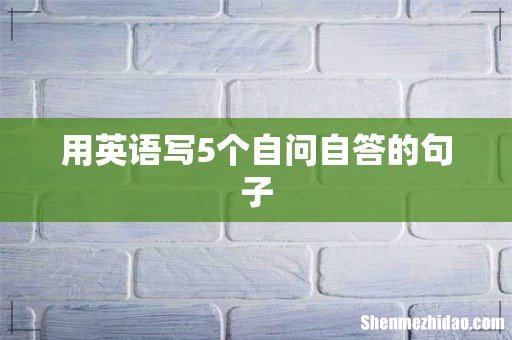 用英语写5个自问自答的句子