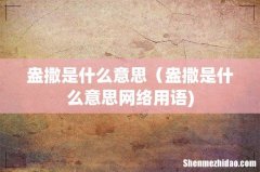 盎撒是什么意思（盎撒是什么意思网络用语)