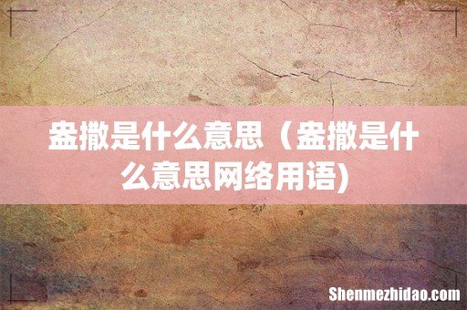 盎撒是什么意思(盎撒是什么意思网络用语)