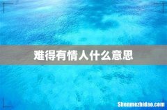 难得有情人什么意思